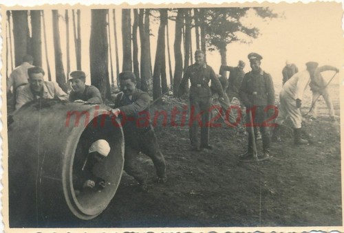 Foto scuola volo a vela - foto,, di