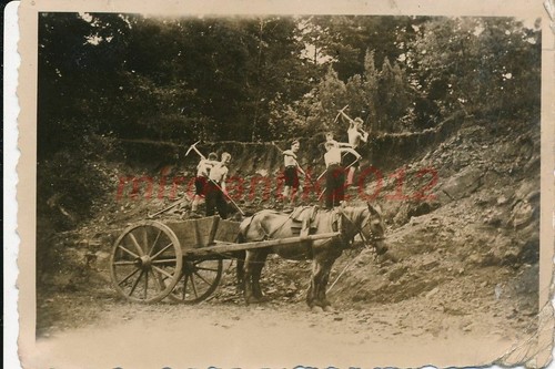 Foto nsfk segelsch - nsfk,