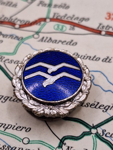 Distintivo prestazioni aliante