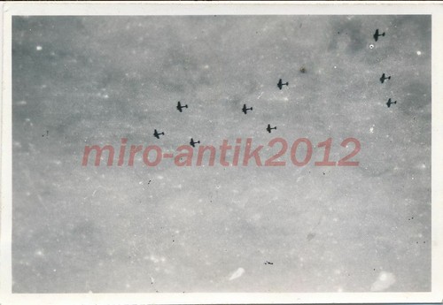 Foto nsfk gruppo cibo - foto,,